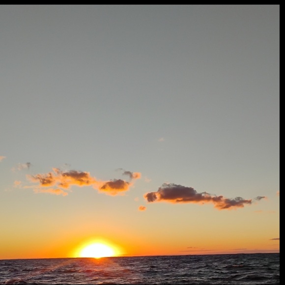 FUCHSIA PAISLEY EUC BOHEMIAN HALTER MAXI DRESS Body CENTRAL  SZ Medium - Picture 12 of 16